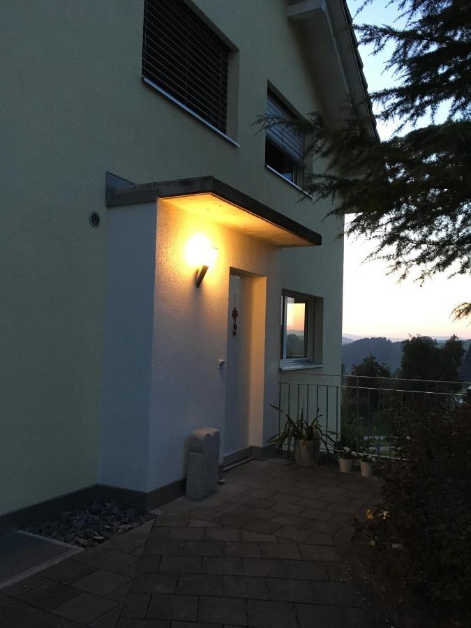 Villa Modern Ufhusen エクステリア 写真
